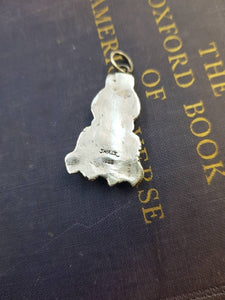 lion paw pendant, Cat pendant, Large Sterling silver handmade lions paw. victorian inspired gothic jewelry. Protection and courage.