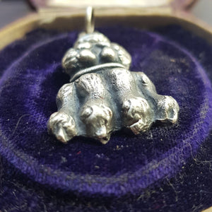 lion paw pendant, Cat pendant, Large Sterling silver handmade lions paw. victorian inspired gothic jewelry. Protection and courage.