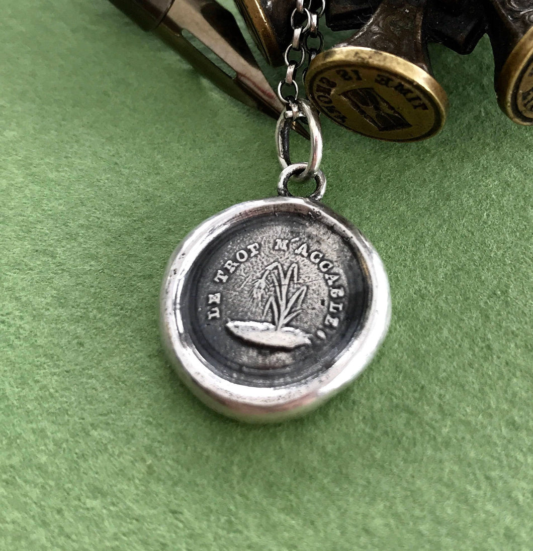 Too much overwhelms me,   Wax seal jewelry, sterling silver meaningful pendant.  mental health, depression, fragile gift