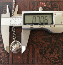 Load image into Gallery viewer, Ancient Greek tortoise/turtle coin necklace. Handmade sterling silver.