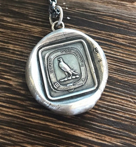God Provides, Raven, Crow, God feeds the ravens.  Biblical reference