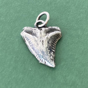 Sterling silver Sharks tooth.  Protection amulet. Handmade meaningful amulet
