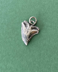 Sterling silver Sharks tooth.  Protection amulet. Handmade meaningful amulet